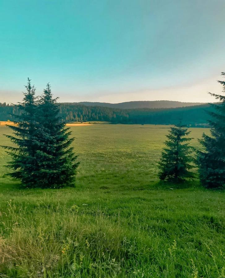 Alpin Apartment Vlašić Buitenkant foto